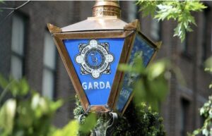 The victim of Carrigaline assault, a man aged in his 20s, has passed away